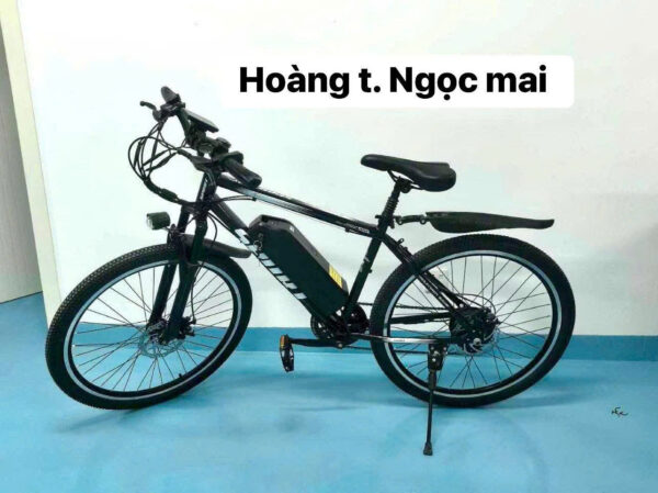 XE ĐẠP TRỢ LỰC - DÁNG THỂ THAO